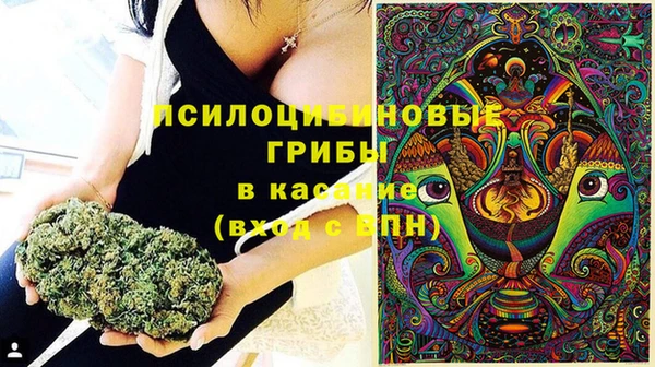 прущий лед Михайловск