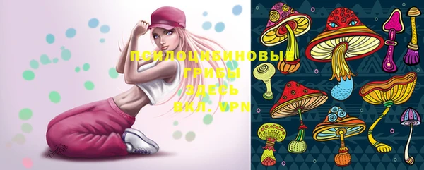 прущие грибы Вязники