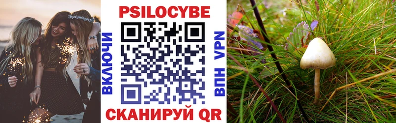 Псилоцибиновые грибы Cubensis  Чулым 