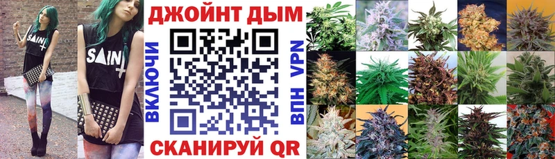 Конопля сатива  Чулым 